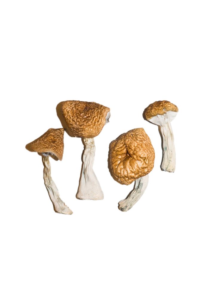 Psychedelics for sale online