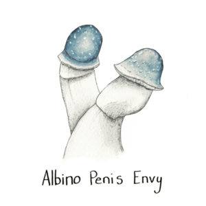 Buy Albino Penis Envy Swab