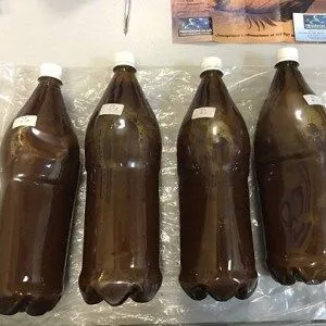 Ayahuasca Tea