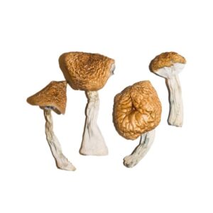 Psychedelics for sale online