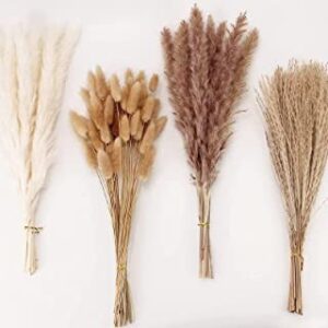 Buy Dried Poppy Flowers