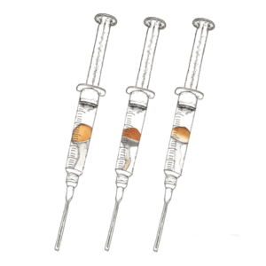 Buy FH Beginner Syringe Mixpack