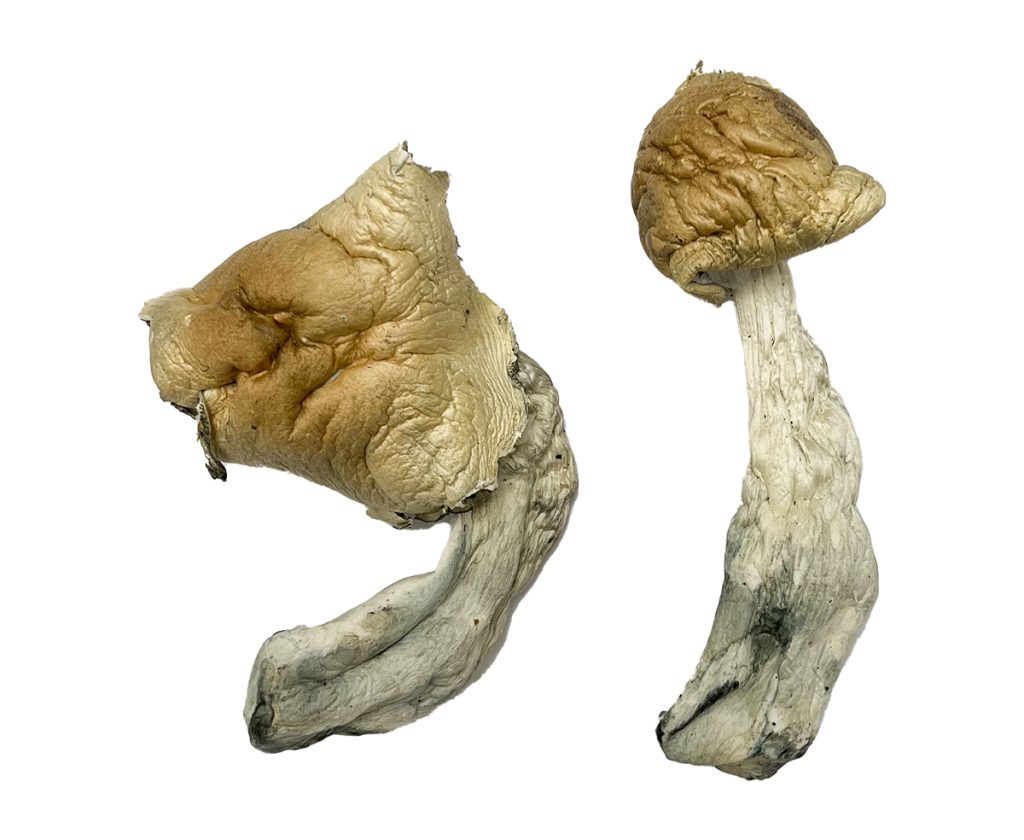 Legal psychedelics for sale