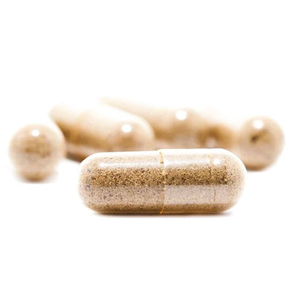 magic mushroom capsules