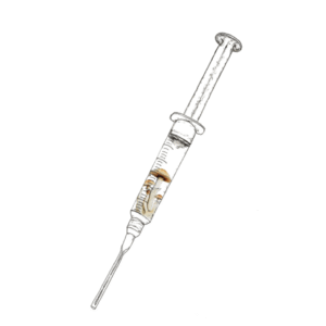 Stargazer Spore Syringe 1 600x600 1