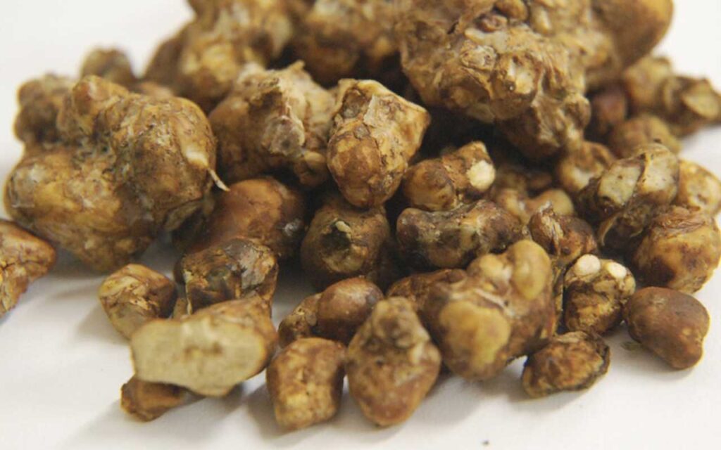 buy psilocybin truffles online